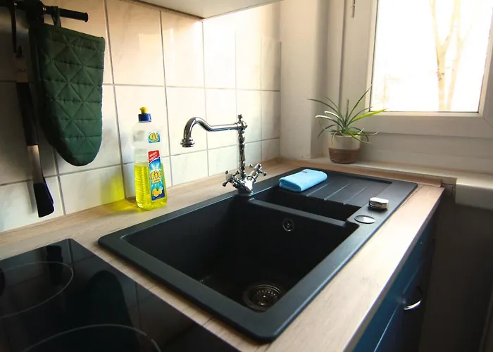 Whg./flat Am Grossen Garten In Drezda