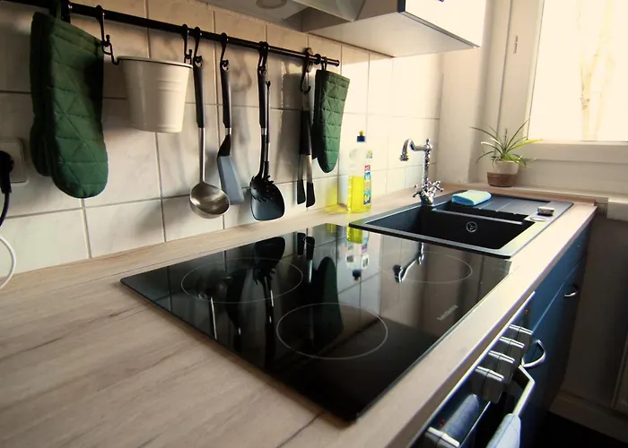 Whg./flat Am Grossen Garten In 公寓 德累斯顿