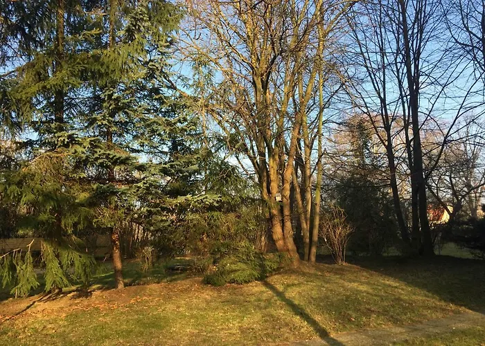 Apartman Whg./flat Am Grossen Garten In *