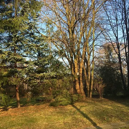 Apartment Whg./flat Am Großen Garten In *